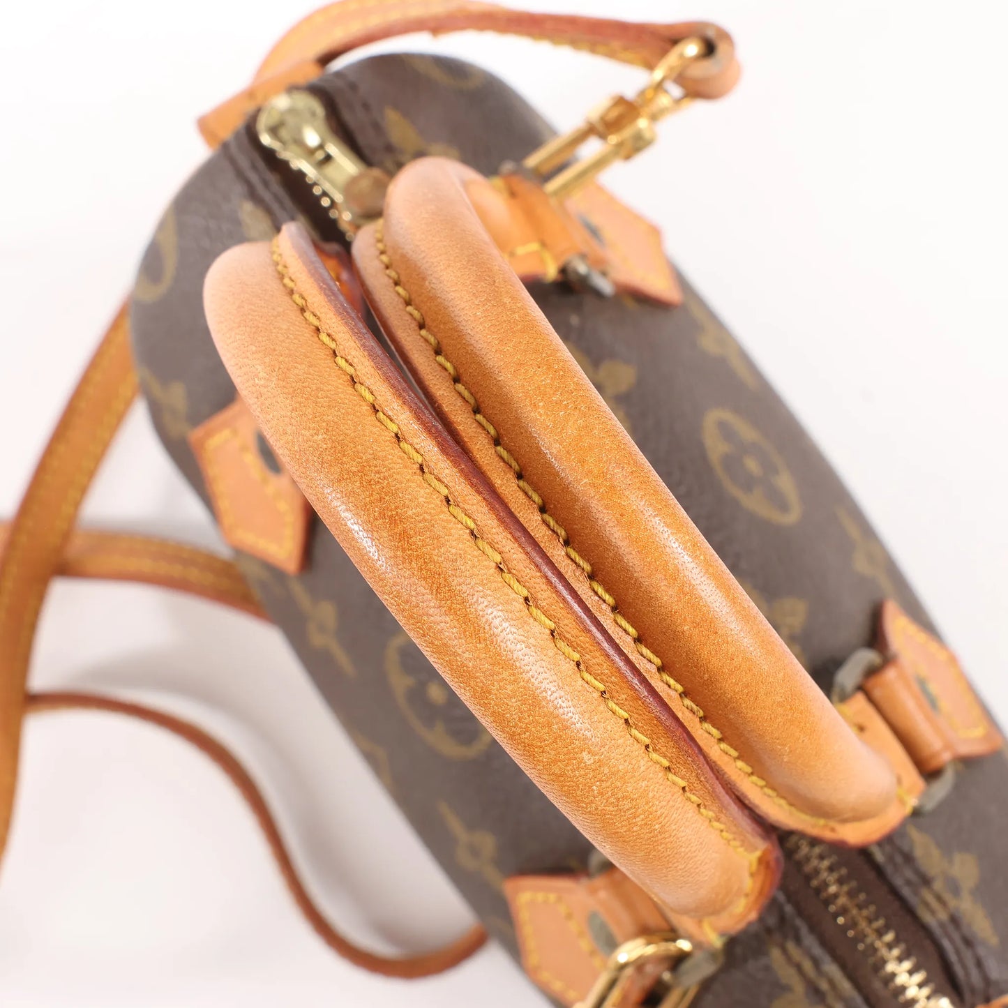 Louis Vuitton Speedy Nano Monogram 2Way Handbag in Brown M61252