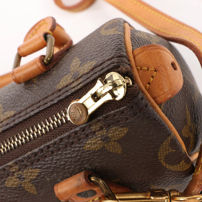 Louis Vuitton Speedy Nano Monogram 2Way Handbag in Brown M61252