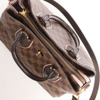 Louis Vuitton Normandy Damier Ebene 2Way Handbag in Brown x Pink N41488