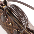 Louis Vuitton Normandy Damier Ebene 2Way Handbag in Brown x Pink N41488