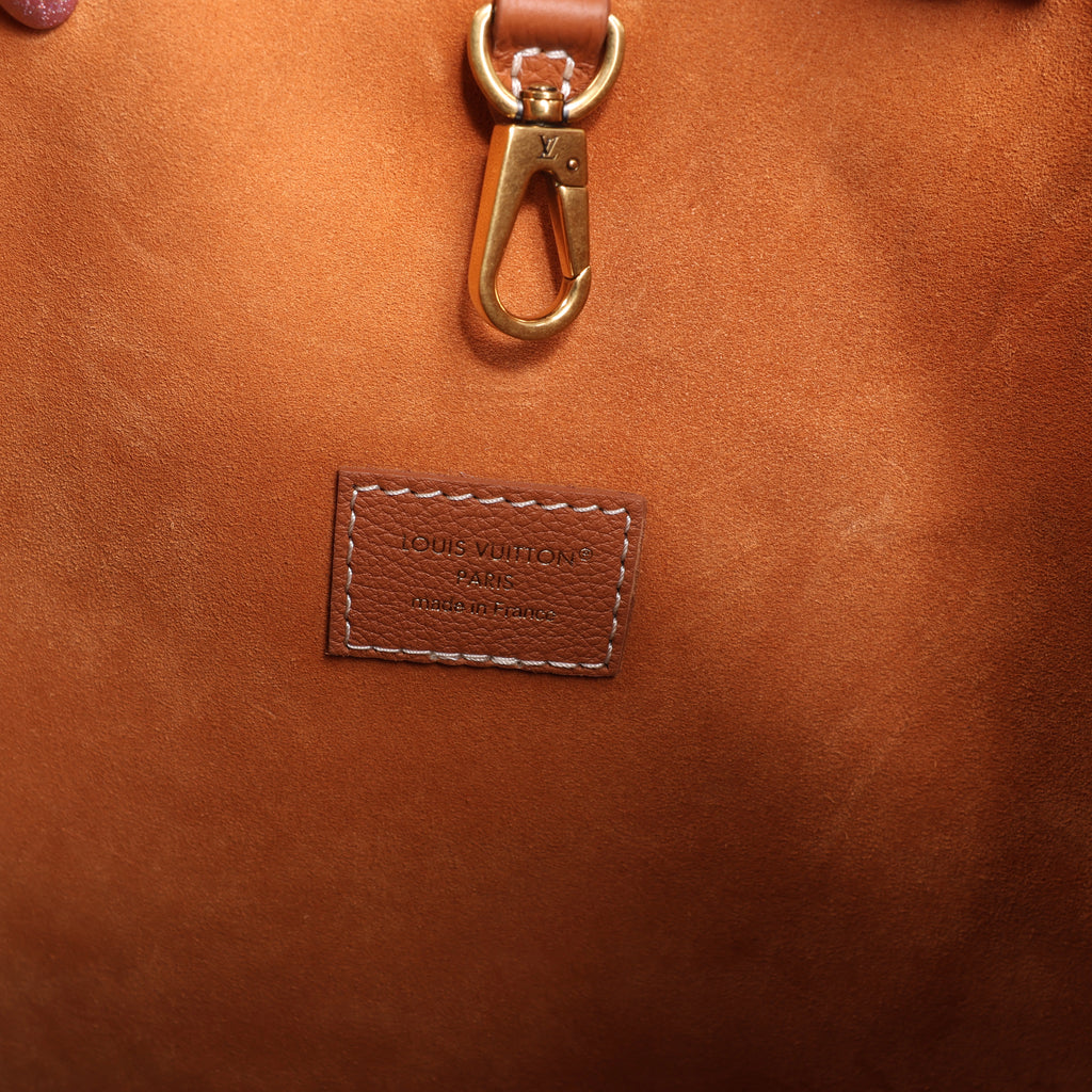 Louis Vuitton Padlock Lowkey Hobo MM Shoulder Bag in Brown M24974