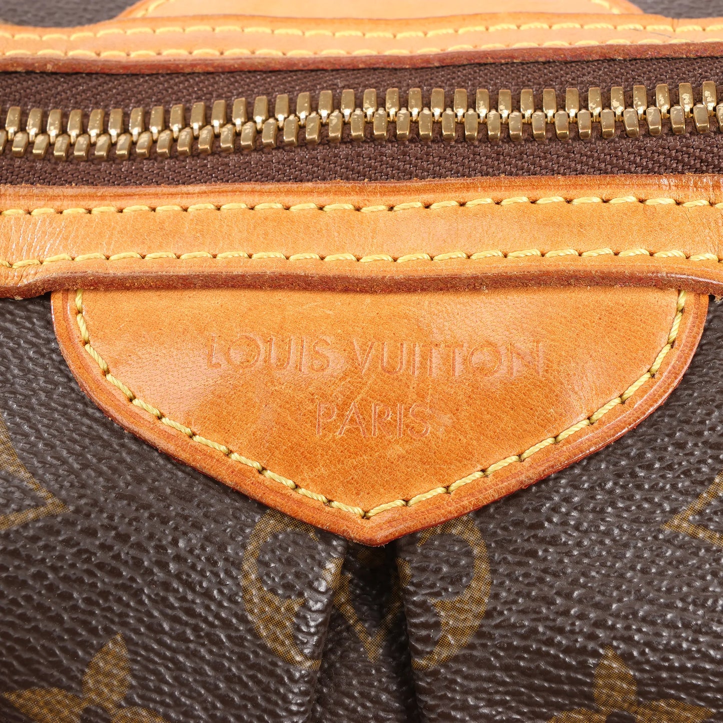 Louis Vuitton Monogram Palermo PM 2Way Handbag in Brown M40145