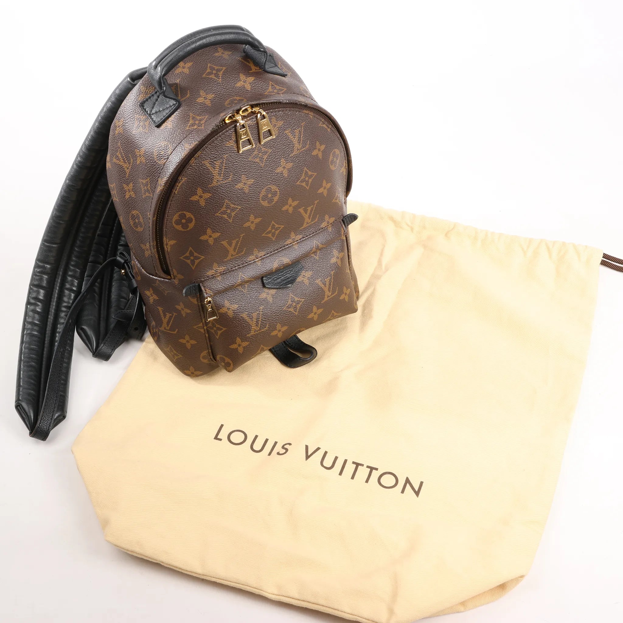 Louis Vuitton Palm Springs PM Monogram Backpack in Brown M41560