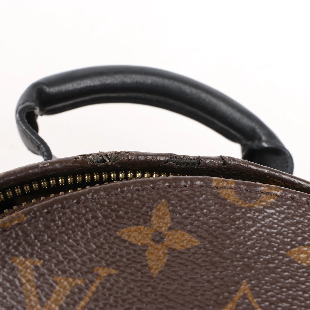Louis Vuitton Palm Springs PM Monogram Backpack in Brown M41560