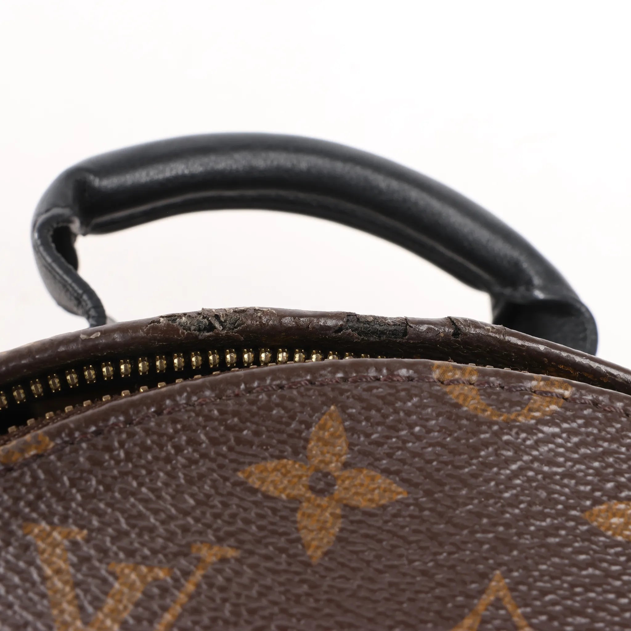 Louis Vuitton Palm Springs PM Monogram Backpack in Brown M41560
