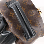 Louis Vuitton Palm Springs PM Monogram Backpack in Brown M41560