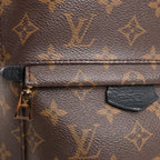 Louis Vuitton Palm Springs PM Monogram Backpack in Brown M41560