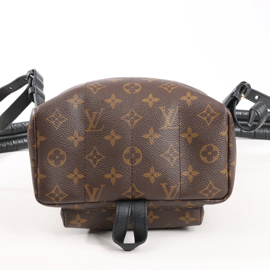 Louis Vuitton Palm Springs PM Monogram Backpack in Brown M41560