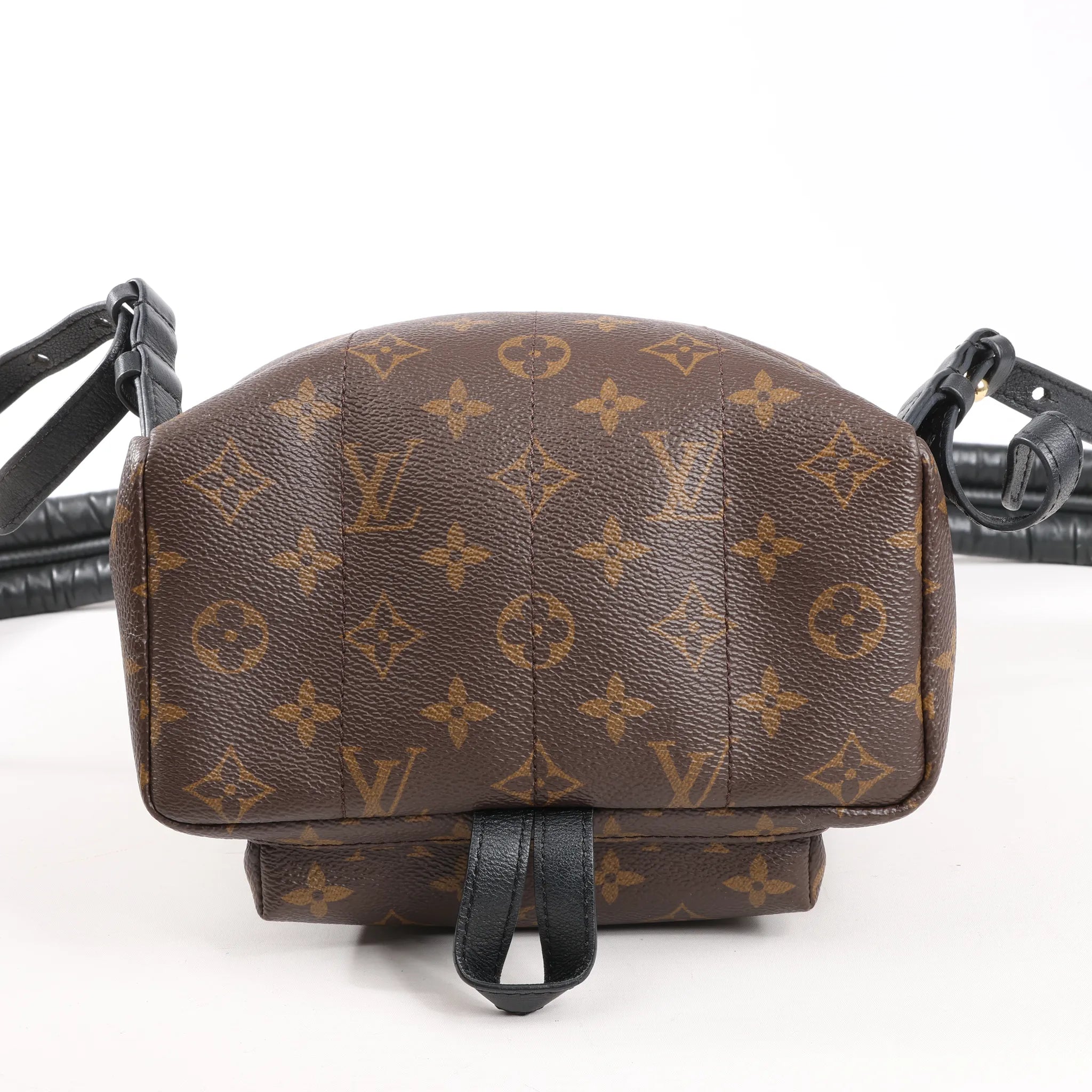 Louis Vuitton Palm Springs PM Monogram Backpack in Brown M41560