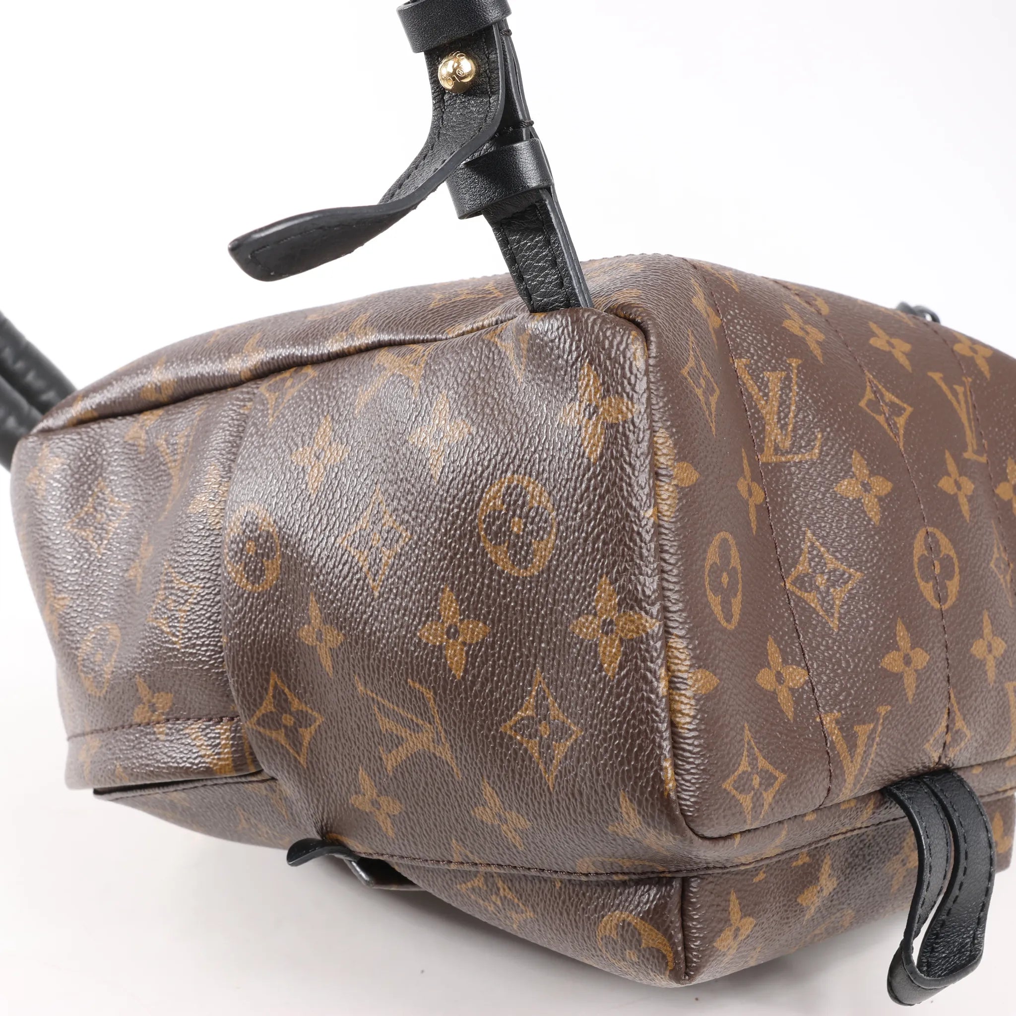 Louis Vuitton Palm Springs PM Monogram Backpack in Brown M41560
