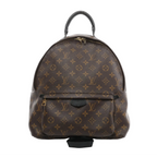Louis Vuitton Palm Springs MM backpack in brown Monogram coated canvas with black leather top handle, front zip pocket, and gold-tone hardware on a white background.