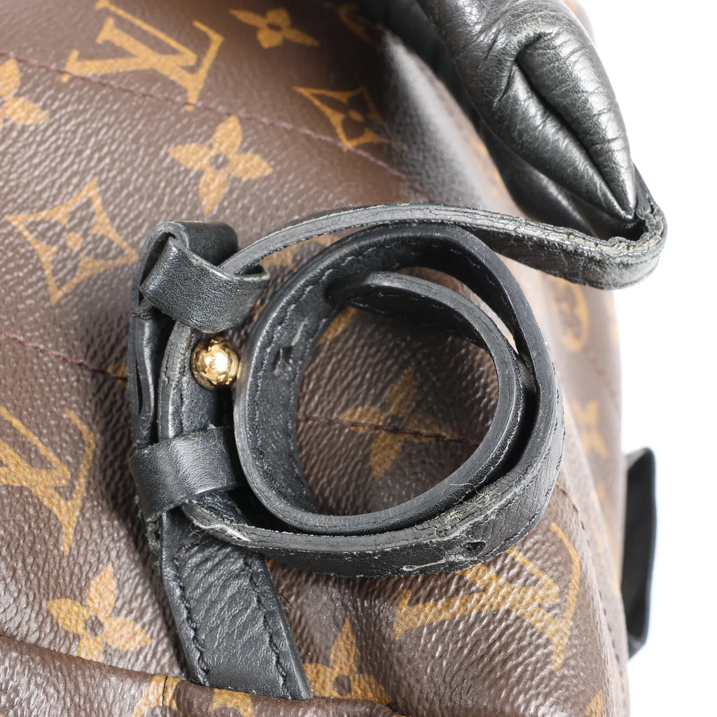 Louis Vuitton Palm Springs MM Monogram Canvas Backpack in Brown M44874