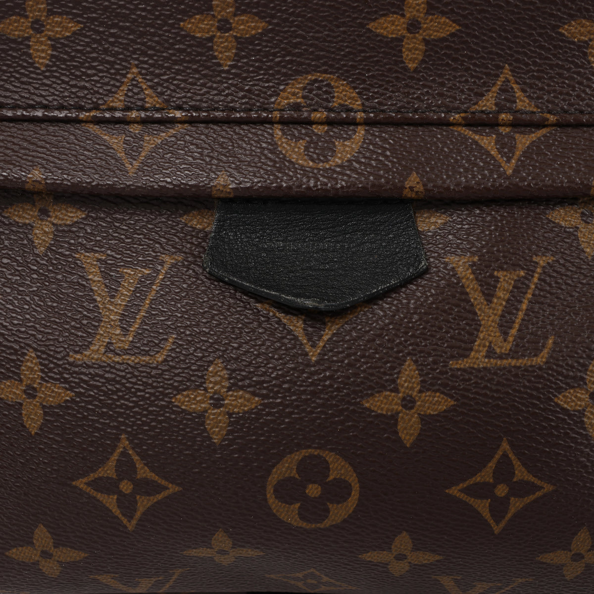Louis Vuitton Palm Springs MM Monogram Backpack in Brown M44874