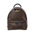Brown Louis Vuitton Palm Springs MM Monogram backpack with a black leather top handle, rounded double zip closure and front zip pocket with gold-tone pulls.