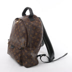 Louis Vuitton Palm Springs MM Monogram Backpack in Brown M44874