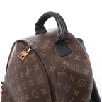 Louis Vuitton Palm Springs MM Monogram Backpack in Brown M44874