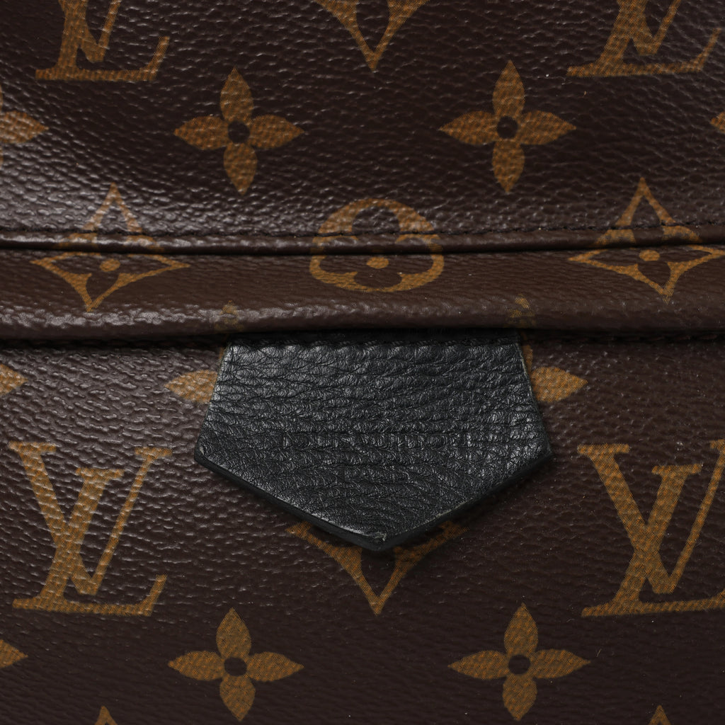 Louis Vuitton Palm Springs MM Monogram Backpack in Brown M44874