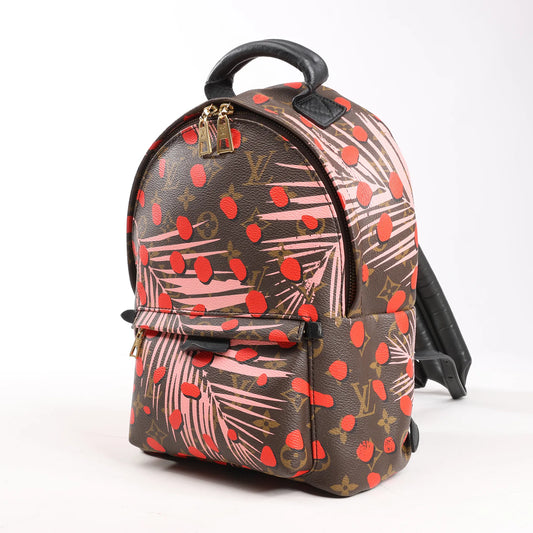 Louis Vuitton Palm Springs Monogram Jungle Dots PM Backpack in Brown x Pink