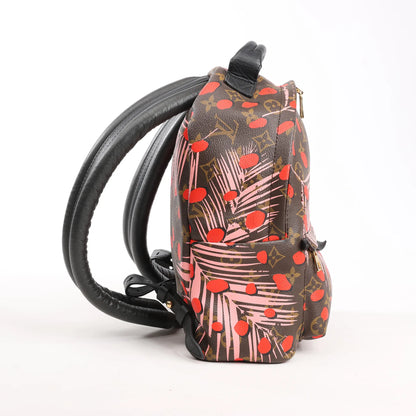 Sac à dos Louis Vuitton Palm Springs Monogram Jungle Dots PM marron et rose