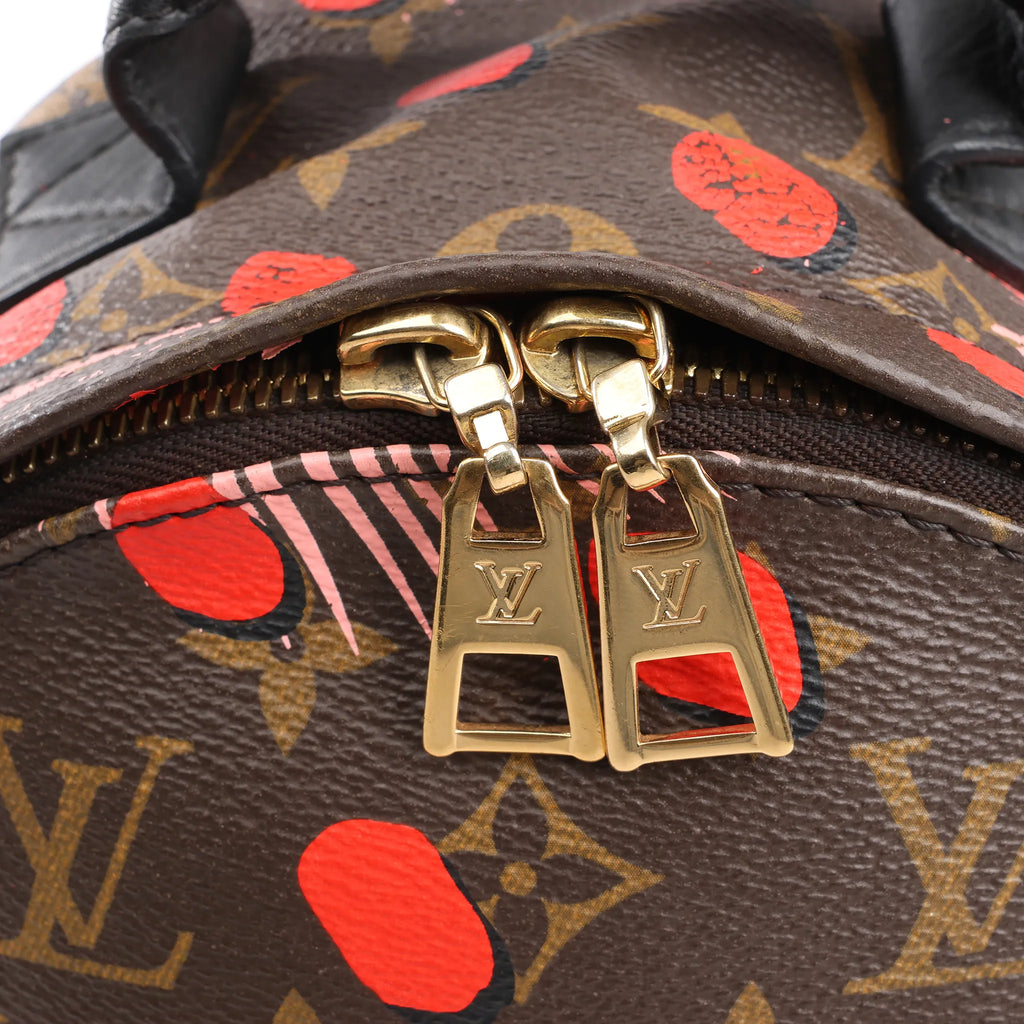 Louis Vuitton Palm Springs Monogram Jungle Dots PM Backpack in Brown x Pink