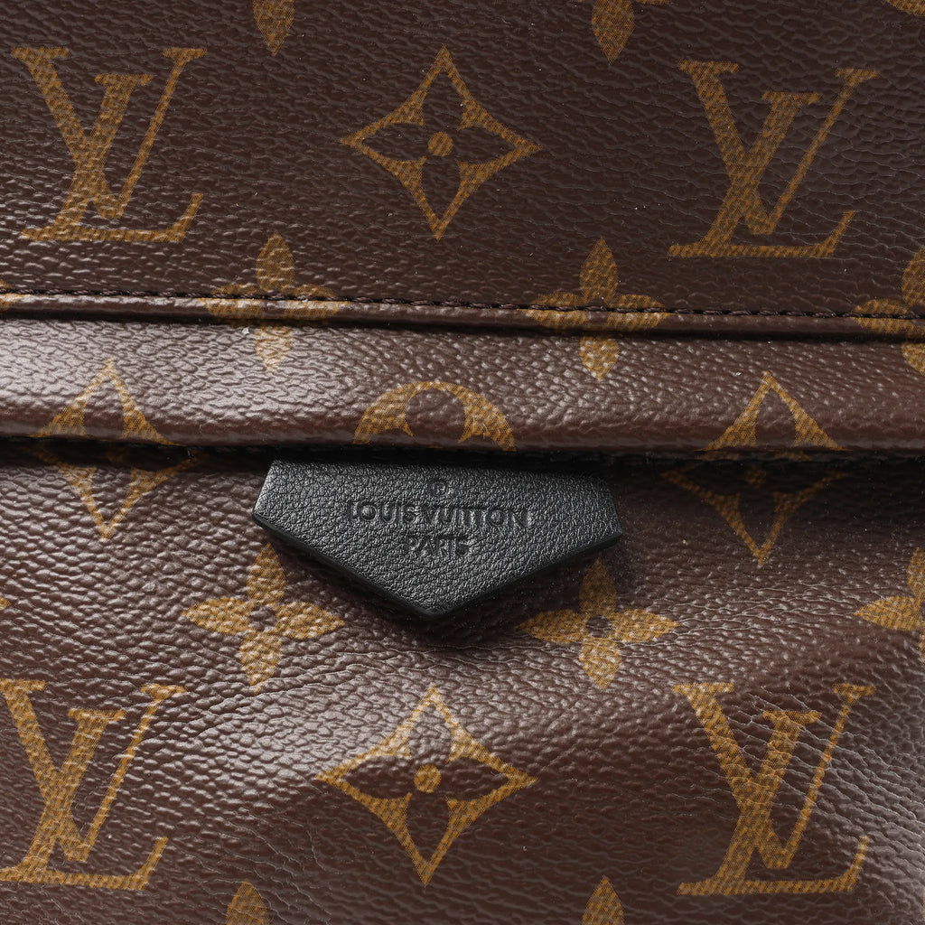 Louis Vuitton Palm Springs PM Monogram Backpack in Brown M41560