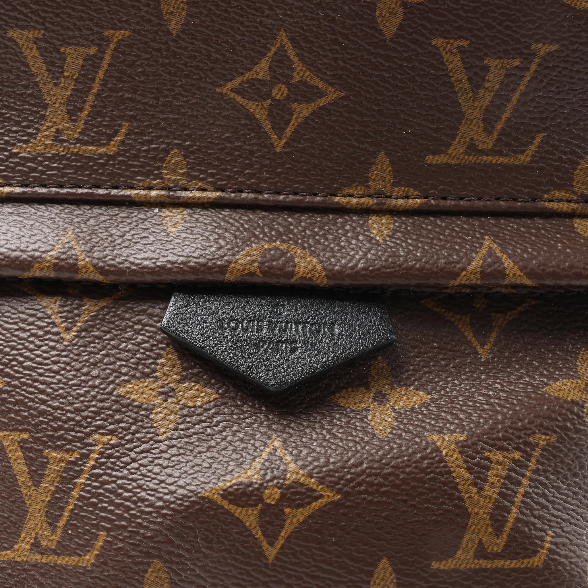 Louis Vuitton Palm Springs PM Monogram Backpack in Brown M41560