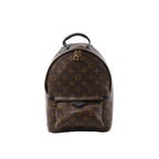 Louis Vuitton Palm Springs PM backpack in brown Monogram canvas with black leather top handle, gold-tone double-zip closure, and front zip pocket.