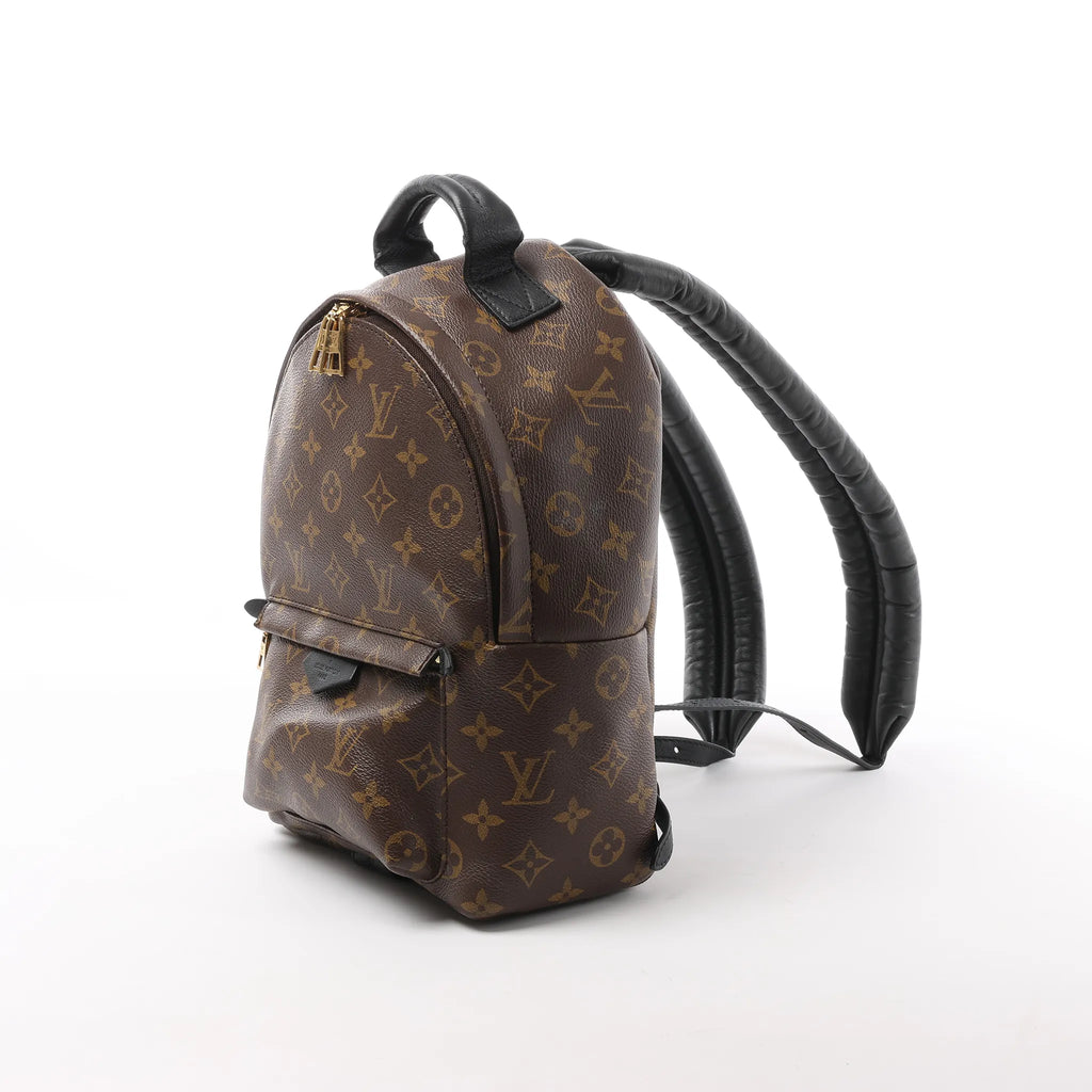 Louis Vuitton Palm Springs PM Monogram Backpack in Brown M41560