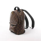 Louis Vuitton Palm Springs PM Monogram Backpack in Brown M41560