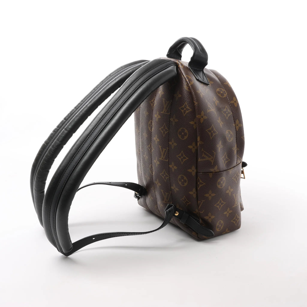 Louis Vuitton Palm Springs PM Monogram Backpack in Brown M41560
