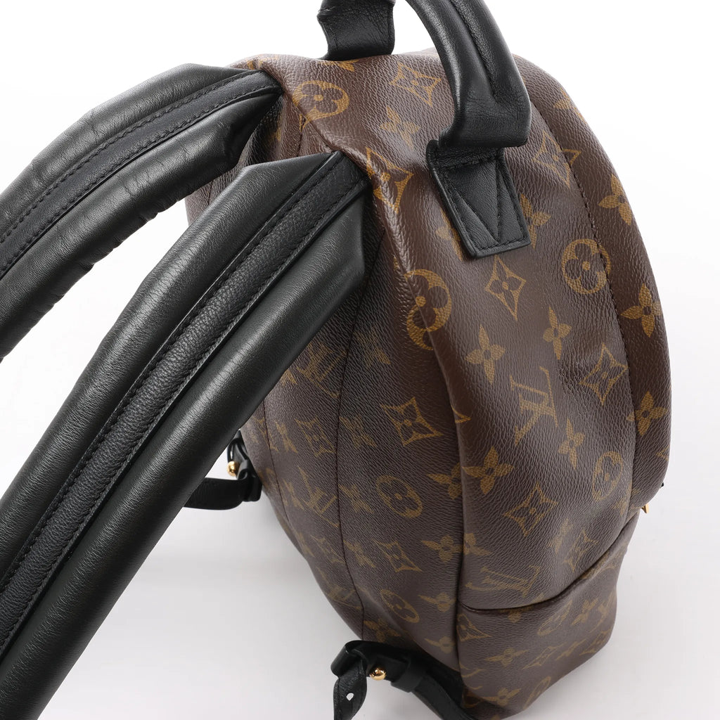 Louis Vuitton Palm Springs PM Monogram Backpack in Brown M41560