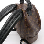 Louis Vuitton Palm Springs PM Monogram Backpack in Brown M41560