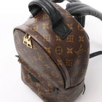 Louis Vuitton Palm Springs PM Monogram Backpack in Brown M41560