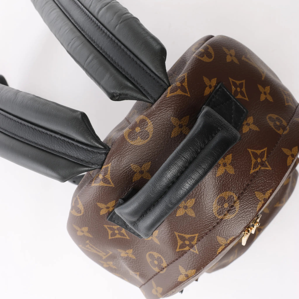 Louis Vuitton Palm Springs PM Monogram Backpack in Brown M41560