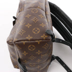 Louis Vuitton Palm Springs PM Monogram Backpack in Brown M41560