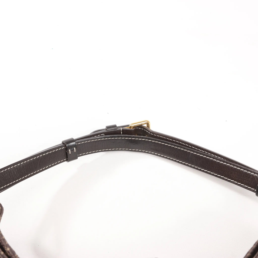 Louis Vuitton Monogram Idylle Romance Shoulder Bag in Brown M56699