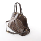 Louis Vuitton Salvi Damier Ebene Shoulder Bag in Brown N41399