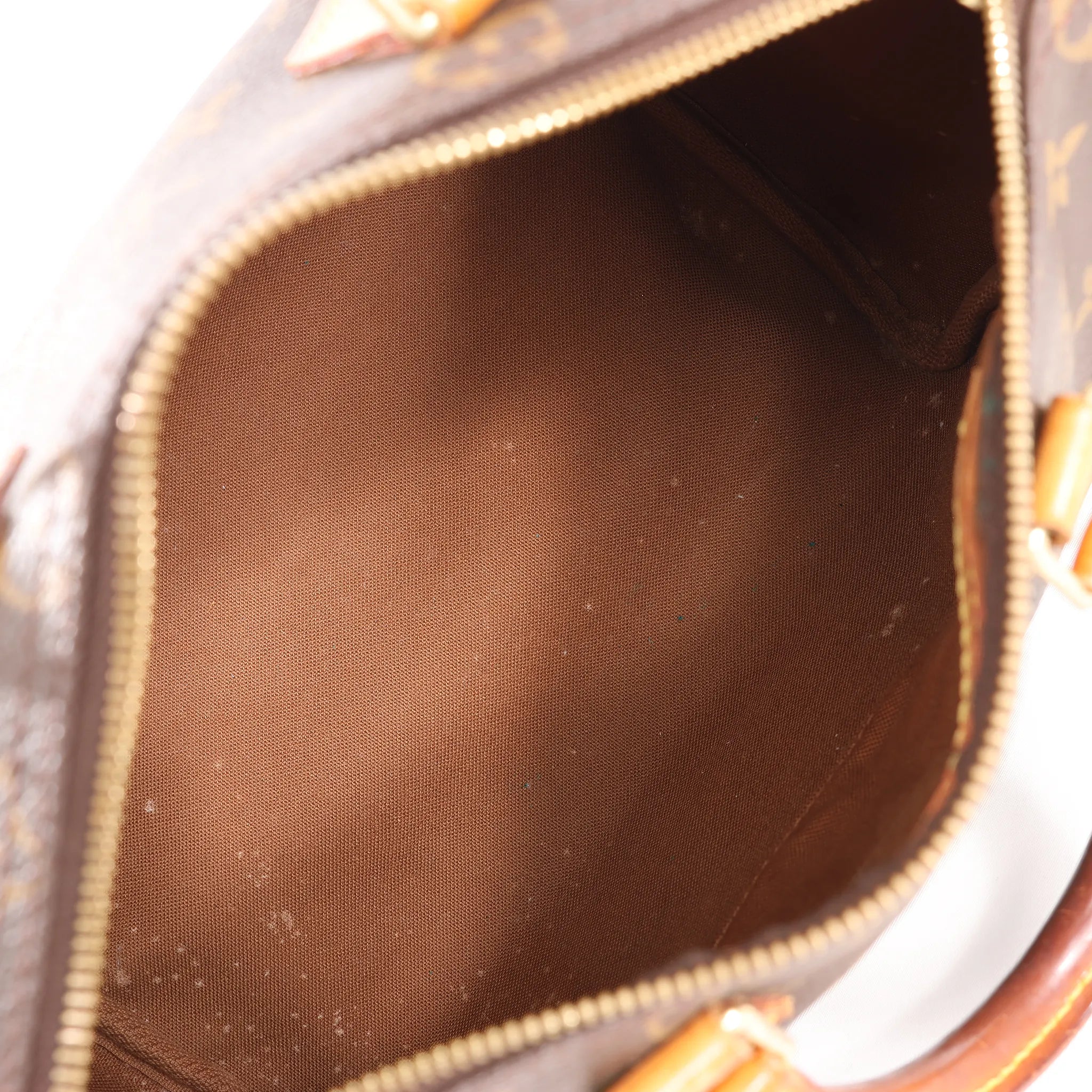 Louis Vuitton Speedy 25 Monogram Handbag in Brown M41528