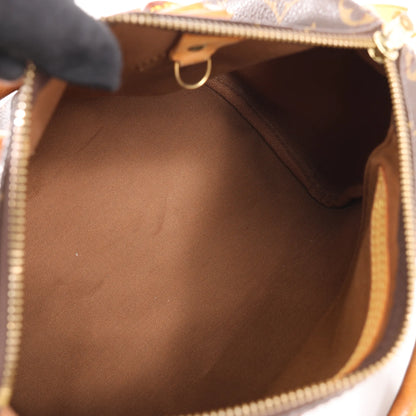Louis Vuitton Monogram Speedy 25 Handbag in Brown M41528