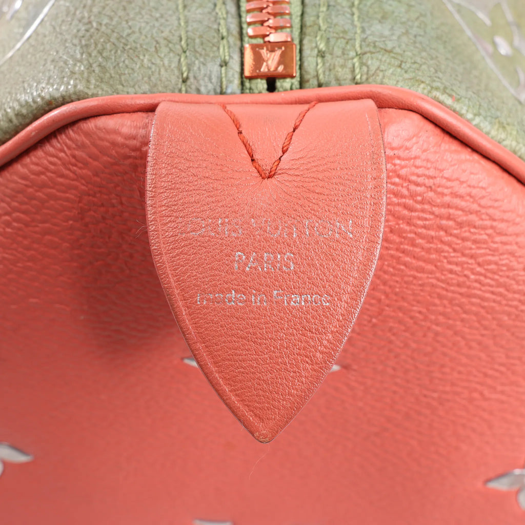 Louis Vuitton Speedy 30 Masters Collection Handbag in Pink M43372