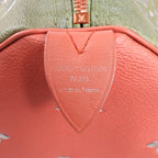 Louis Vuitton Speedy 30 Masters Collection Handbag in Pink M43372