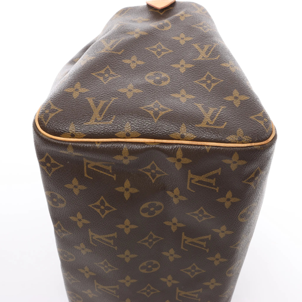 Louis Vuitton Speedy 30 Monogram Handbag in Brown M41526