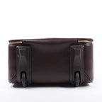 Louis Vuitton Taiga Leather Pegase 45 Travel Bag in Brown M23314