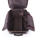 Louis Vuitton Taiga Leather Pegase 45 Travel Bag in Brown M23314