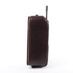 Louis Vuitton Taiga Leather Pegase 45 Travel Bag in Brown M23314