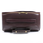 Louis Vuitton Taiga Leather Pegase 45 Travel Bag in Brown M23314