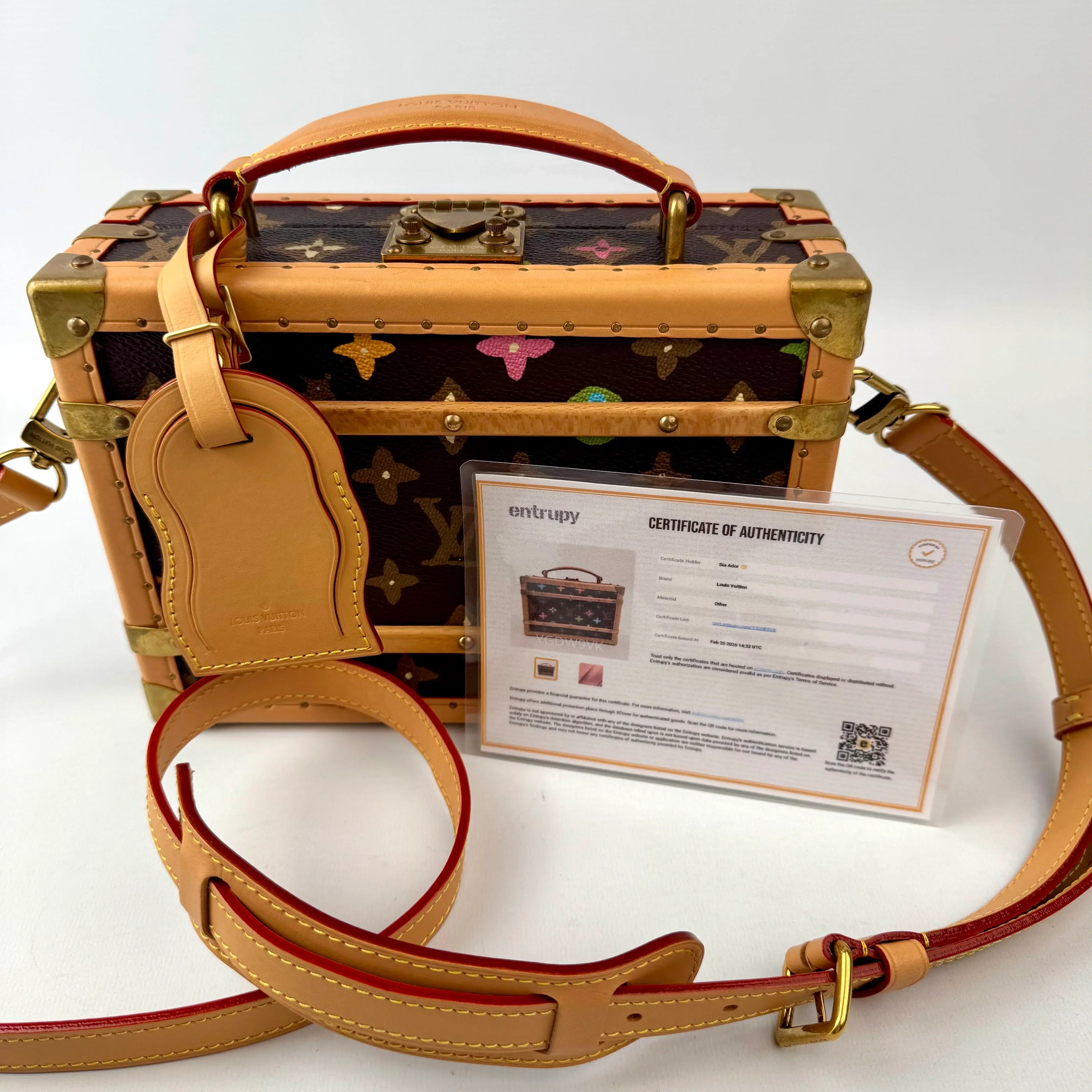 Louis Vuitton Trunk Monogram Craggy Canva by Tyler, the Creator Crossbody Bag in Brown M11120 Brown