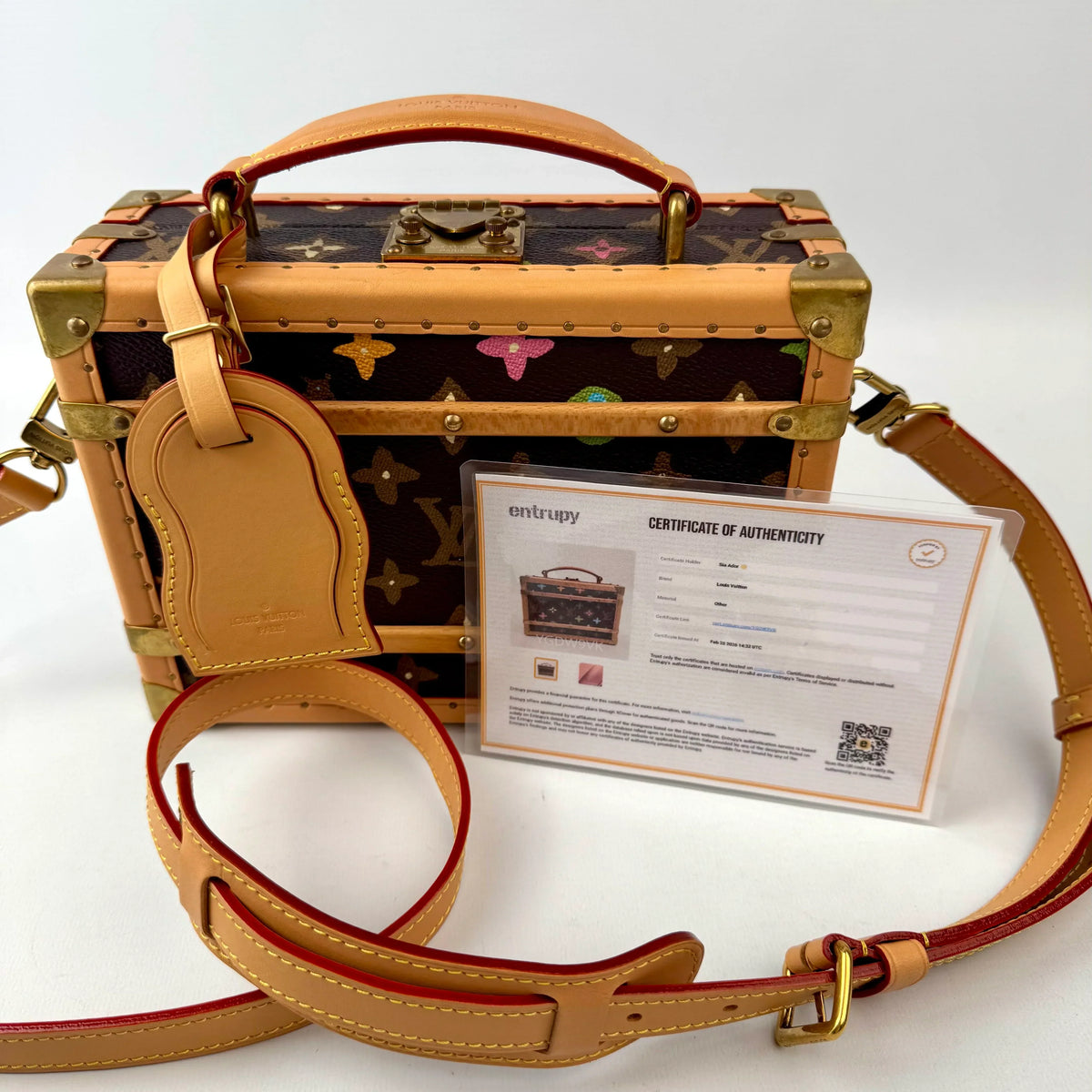 Louis Vuitton Trunk Monogram Craggy Canva by Tyler, the Creator Crossbody Bag in Brown M11120 Brown