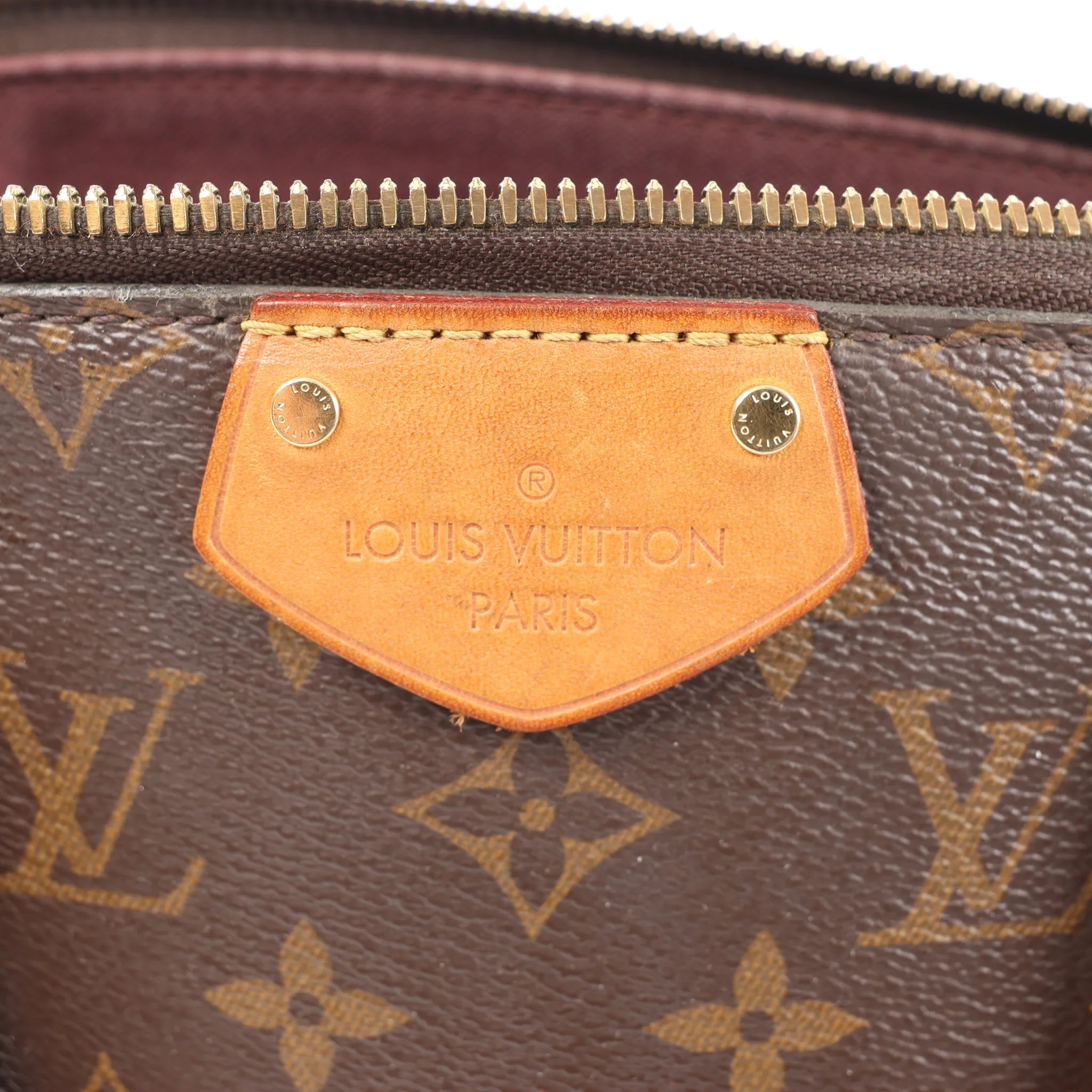 Louis Vuitton Turenne MM Monogram 2Way Handbag in Brown M48814