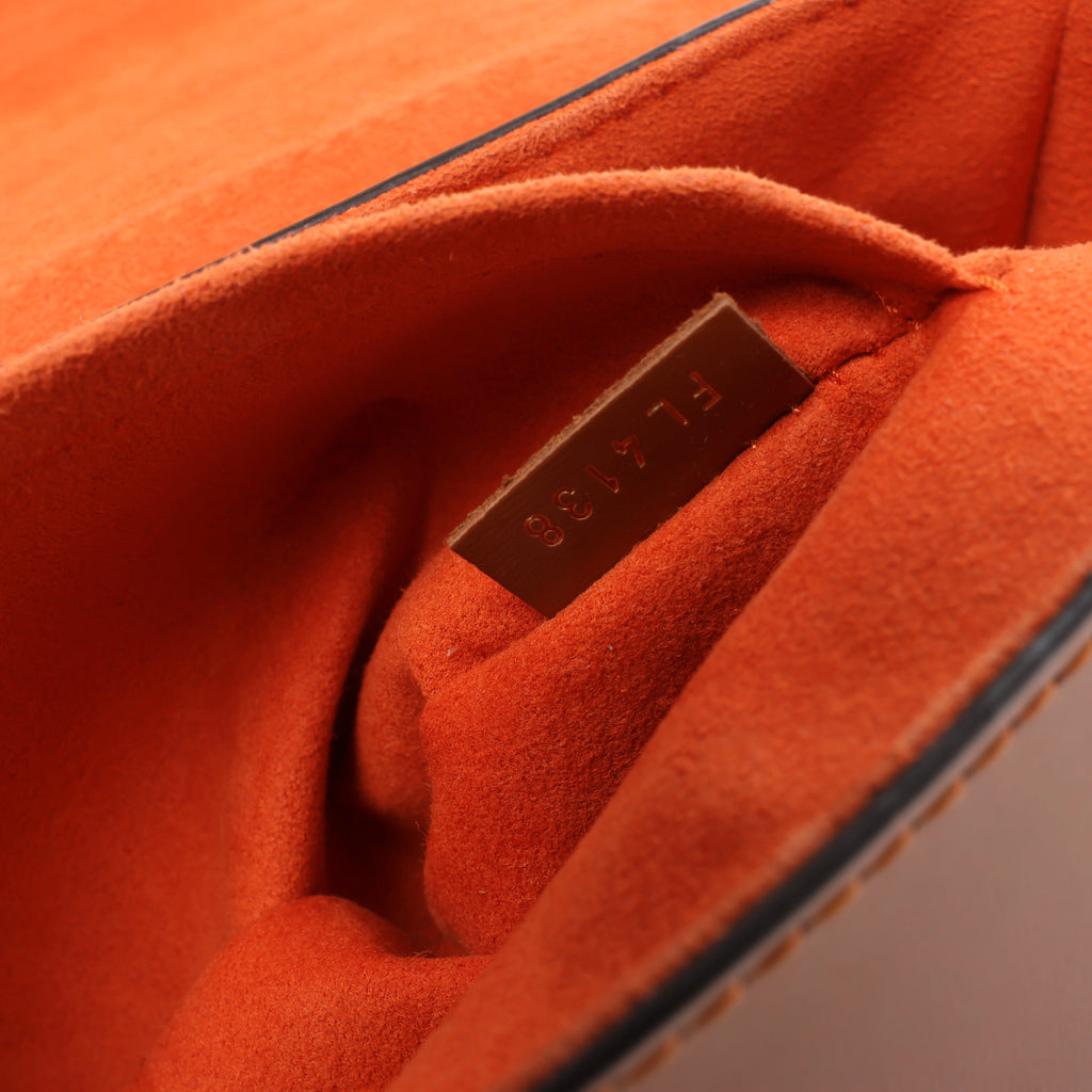 Louis Vuitton Twist MM Catgram x Taurillon Crossbody Bag in Brown x Orange M44408